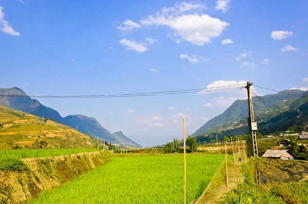 Landschap van sapa rijst terrasvormige velden — Stockfoto