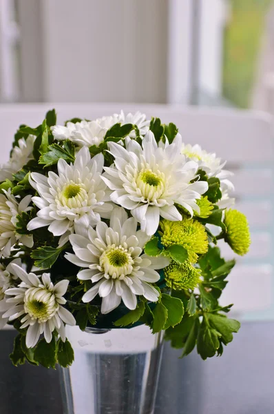 Fleurs de chrysanthème blanc — Photo