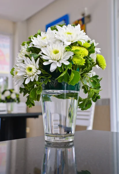 Flores de crisantemo blanco — Foto de Stock
