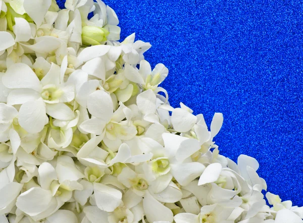 Orquídea branca decorativa — Fotografia de Stock