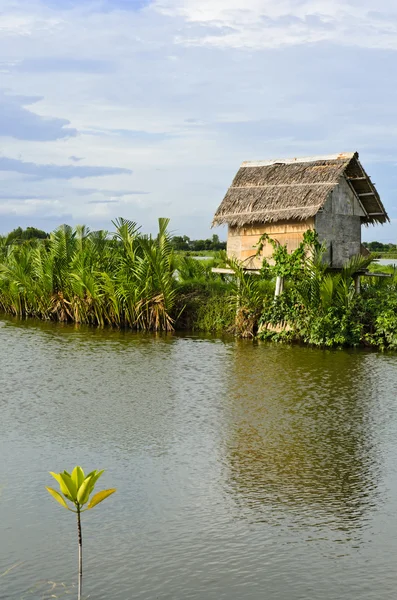 Weinig nupa palm verlaat hut — Stockfoto