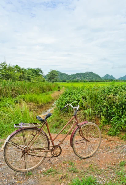 Vieux vélo — Photo