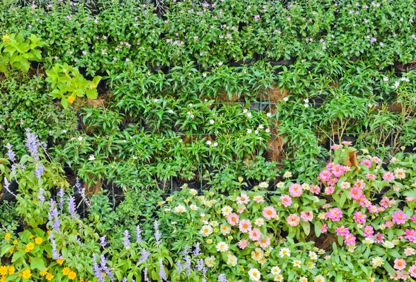 Färgglada trädgårdsmur — Stockfoto