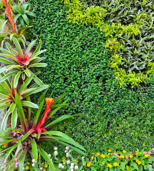 Pared del jardín — Foto de Stock