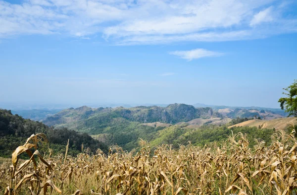 Bela paisagem montanhosa — Fotografia de Stock