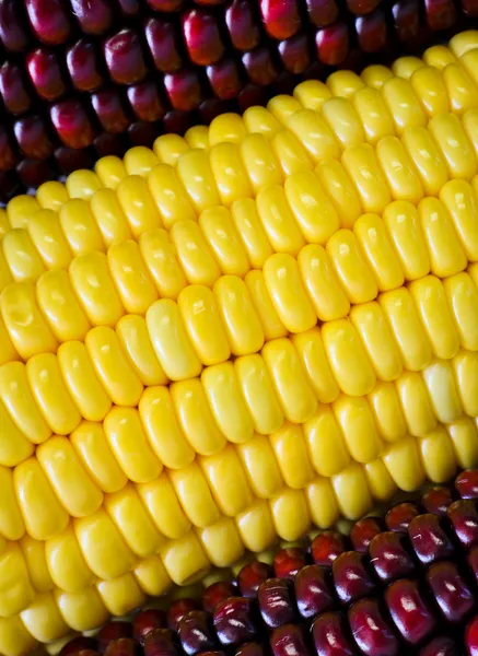 Rode en gele maïs — Stockfoto