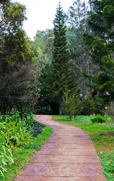 Caminho de pedra — Fotografia de Stock