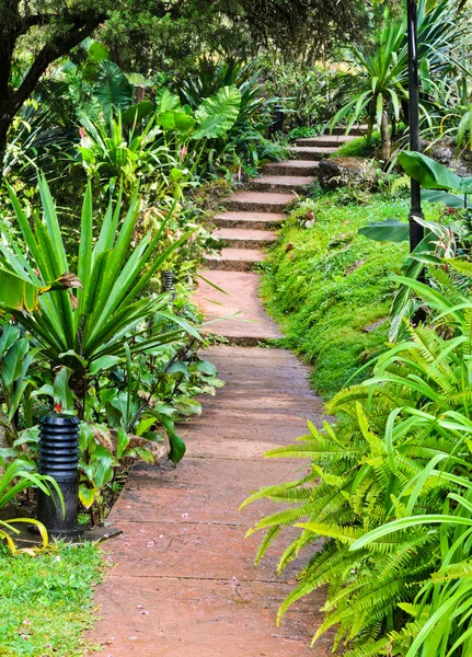 Camino de piedra en el jardín — Foto de Stock