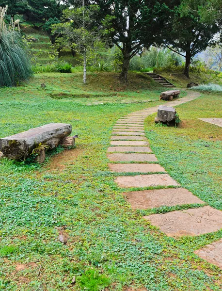 Pathway in garden — Stock Photo, Image