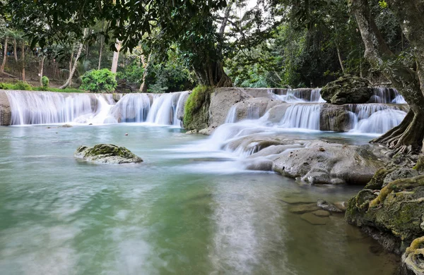 Floresta tropical em cascata cai — Fotografia de Stock