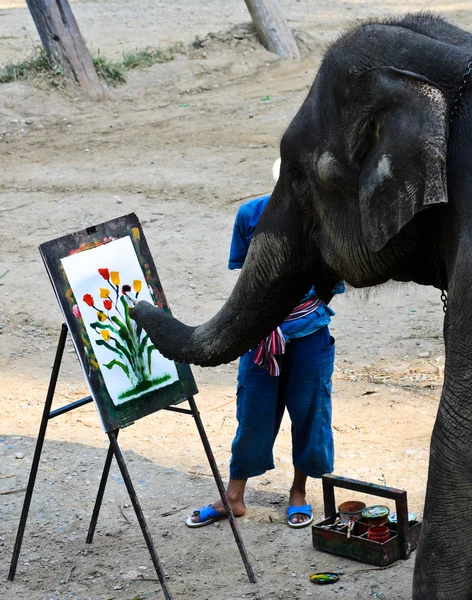 Ελέφαντας καλλιτέχνη ζωγραφικής — Φωτογραφία Αρχείου