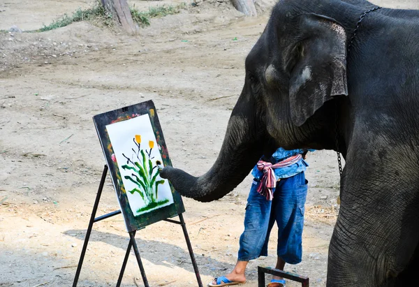 Slon umělec maluje — Stock fotografie