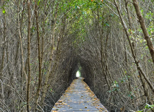 Puente peatonal — Foto de Stock