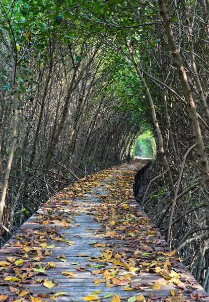 மர பாலம் — ஸ்டாக் புகைப்படம்