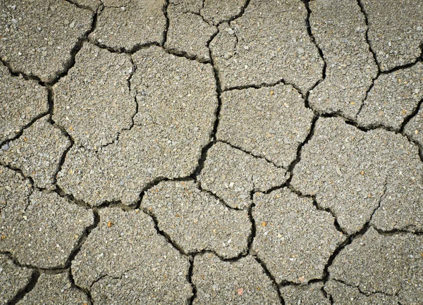Terreno seco e rachado — Fotografia de Stock