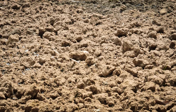 Soil nature background — Stock Photo, Image