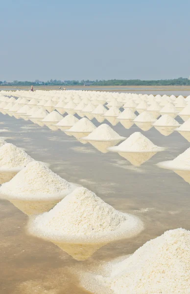 Sea salt piles — Stock Photo, Image