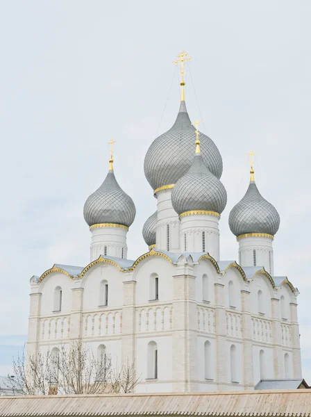 Assumption cathedral — Stock Photo, Image