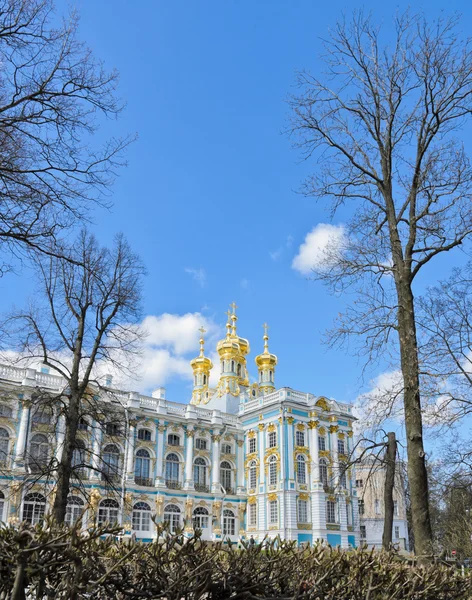 Part of Catherine Palace — Stock Photo, Image