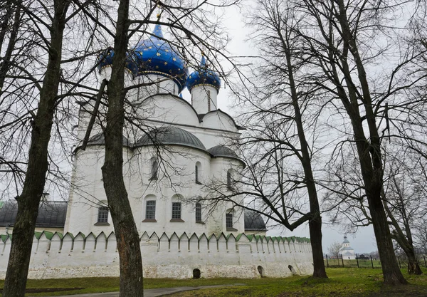 Суздальский Кремль, Россия — стоковое фото