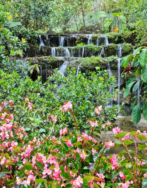 Cachoeira jardim — Fotografia de Stock