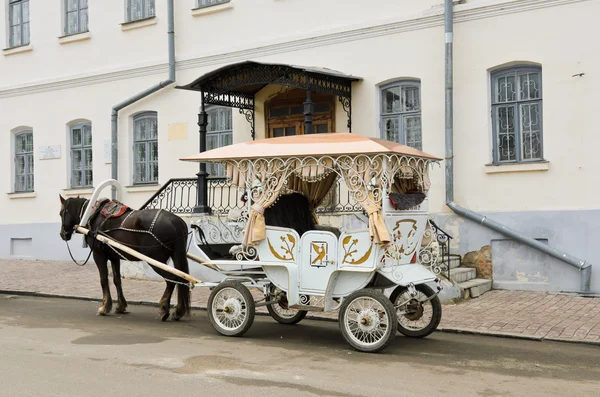 Transporte tradicional de cavalos — Fotografia de Stock