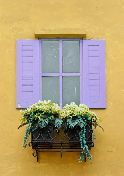 Buntes Fenster mit Blumentöpfen — Stockfoto