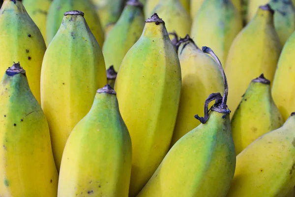 Bananen-Hintergrund — Stockfoto