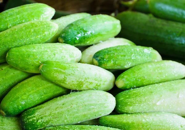 Cucumber Royalty Free Stock Images
