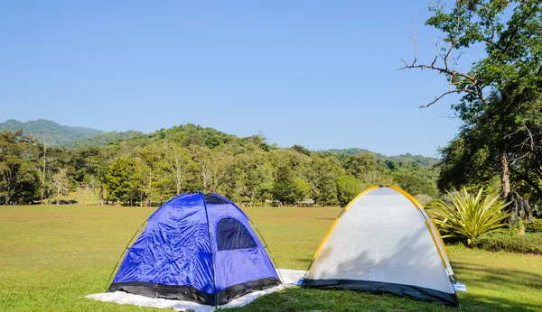 Kamp — Stok fotoğraf