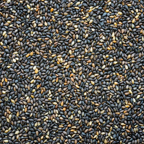 Nasiona sezamu — Zdjęcie stockowe