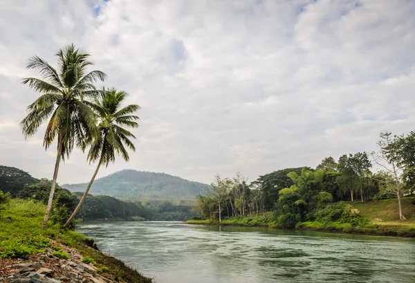 Tropical river — Stock Photo, Image