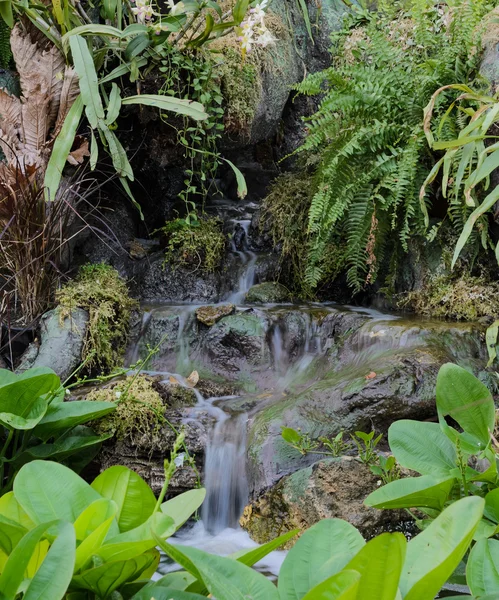 Cachoeira jardim — Fotografia de Stock