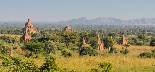 Bagan plain , Myanmar — Stock Photo, Image