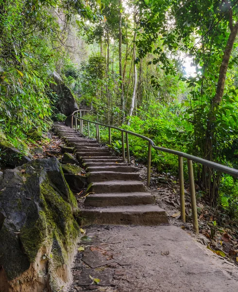 Scala nella foresta — Foto Stock