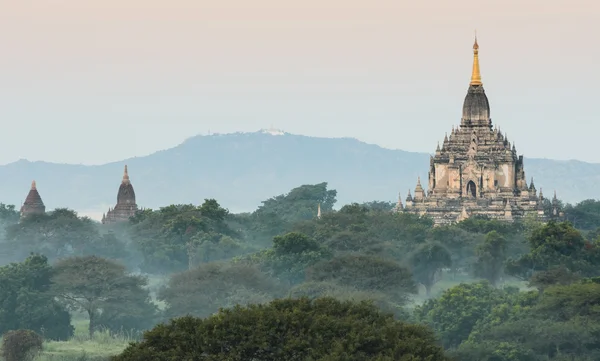 Tempio di Gawdawpalin, Myanmar — Foto Stock