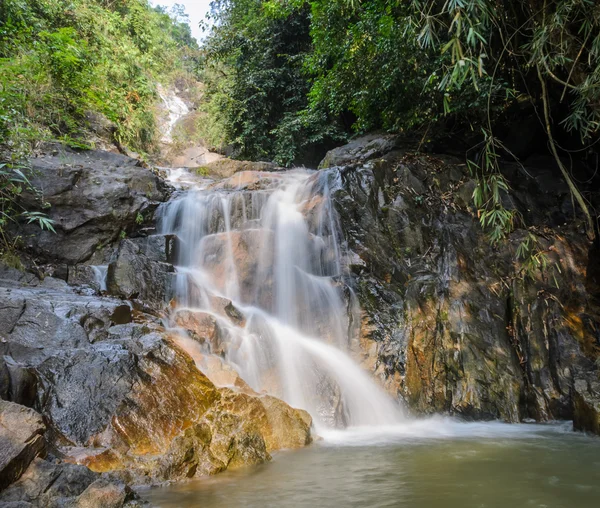 Altijdgroene bos waterval — Stockfoto