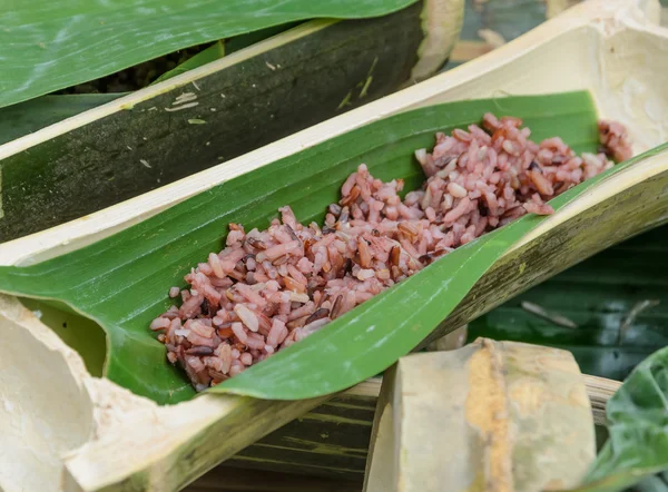 Ris i bambu stjälk — Stockfoto