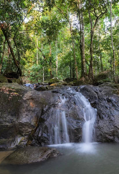 Altijdgroene bos waterval — Stockfoto