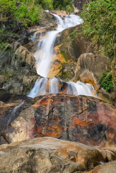 Floresta sempre verde cachoeira — Fotografia de Stock