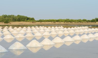 Sea Salt Evaporation Pond clipart