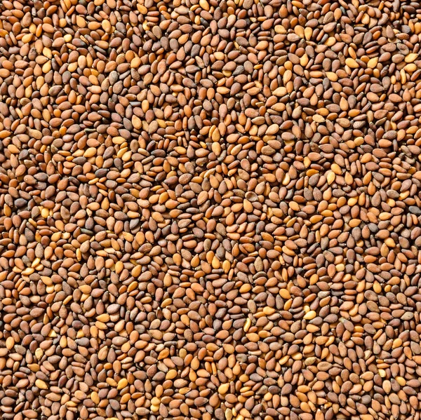 Red sesame background — Stock Photo, Image