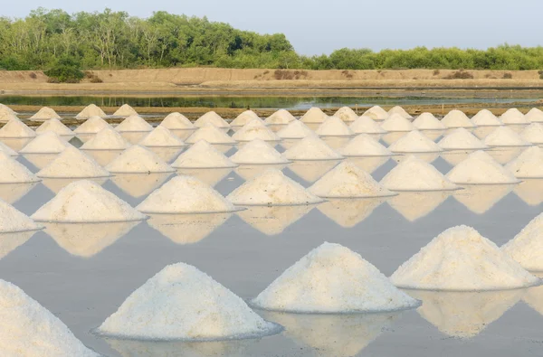 Tumpukan garam laut — Stok Foto