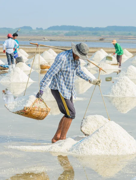 Sea salt skörd — Stockfoto