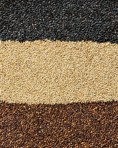 Sesame seeds background — Stock Photo, Image