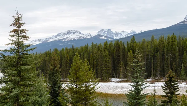 Nádherný Zimní Pohled Národní Park Banff Kanadskými Horami Skalistých Hor — Stock fotografie