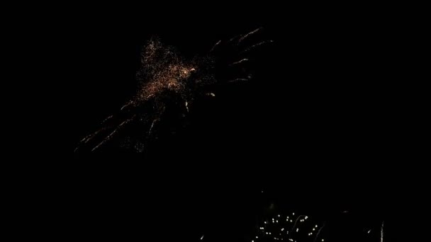 Ohňostroj Exploduje Temné Noční Obloze Pro Oslavu Výročí Konceptu — Stock video