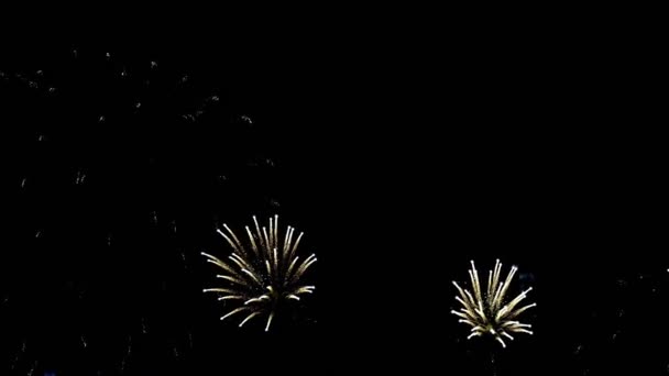 Πυροτεχνήματα Που Εκρήγνυνται Στο Σκοτεινό Νυχτερινό Ουρανό Για Εορτασμό Και — Αρχείο Βίντεο