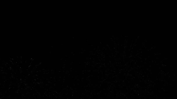 Fajerwerki Wybuchające Ciemnym Nocnym Niebie Dla Uczczenia Koncepcji Rocznicy — Wideo stockowe
