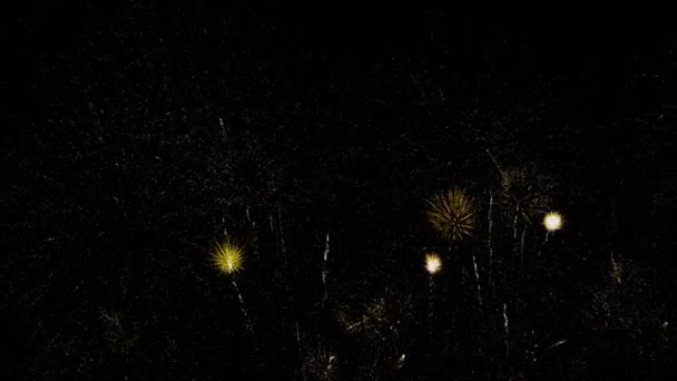 お祝いや記念日のコンセプトのために暗い夜空に爆発花火 — ストック動画